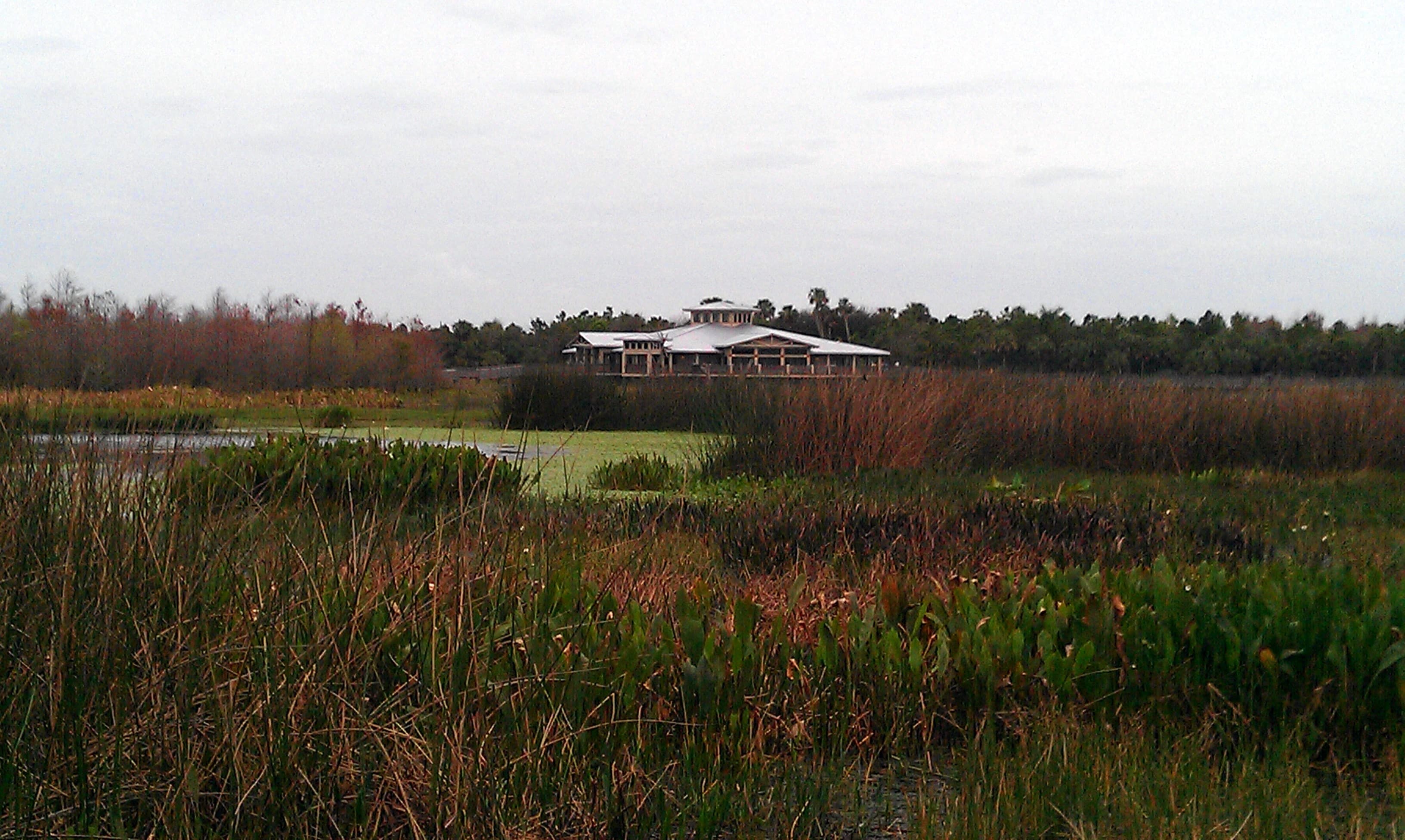Green Cay Wetlands in Boynton Beach, a boardwalk nature stop for families.